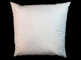 Feder-Kissen