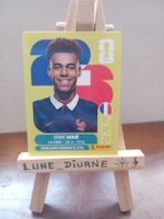 Carte Panini Désiré Doué FRA17