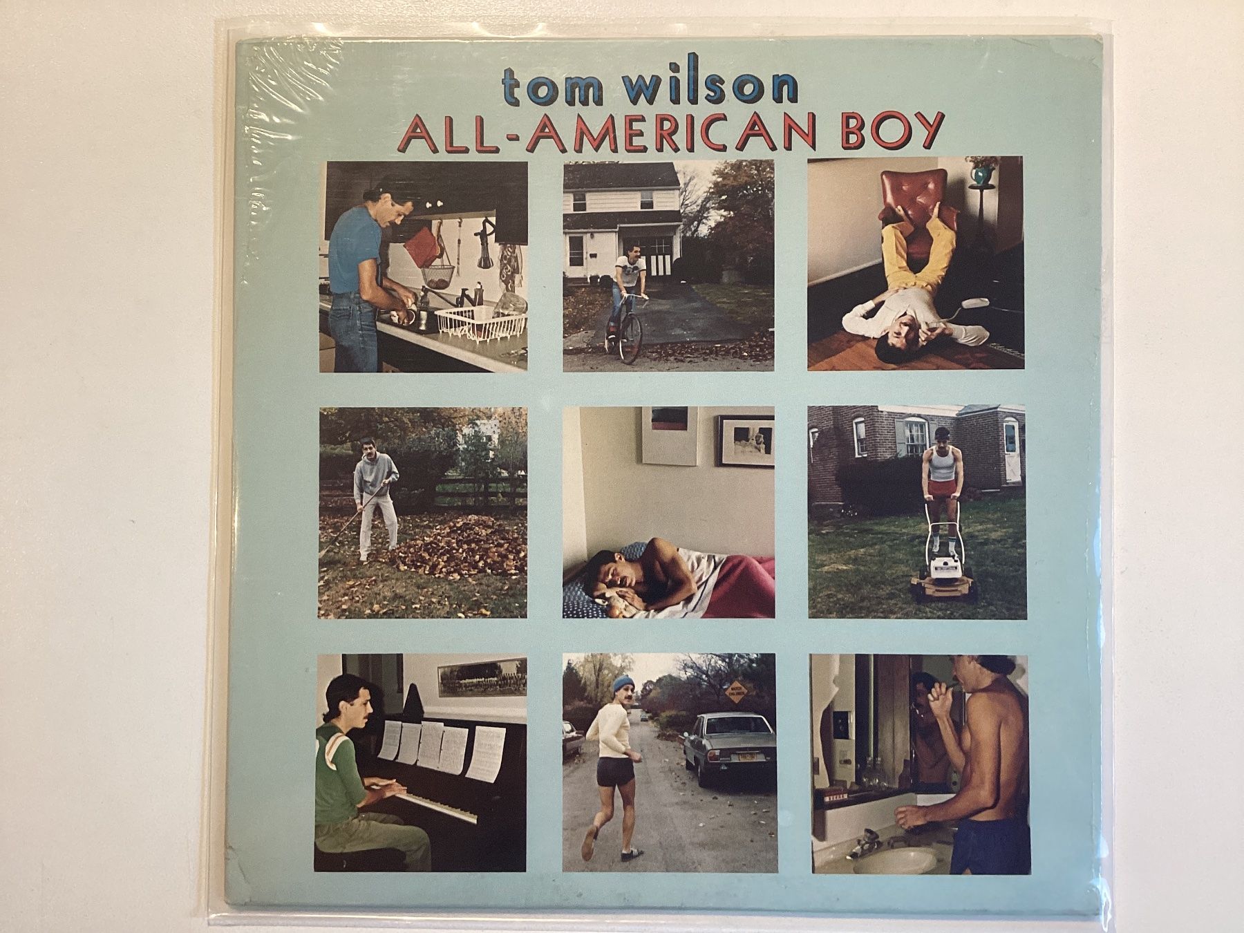 Dischi in vinile: Tom Wilson LP - All American Boy – Nuovo e nell'imballaggio originale da Gutenswil venduto da Hamzian