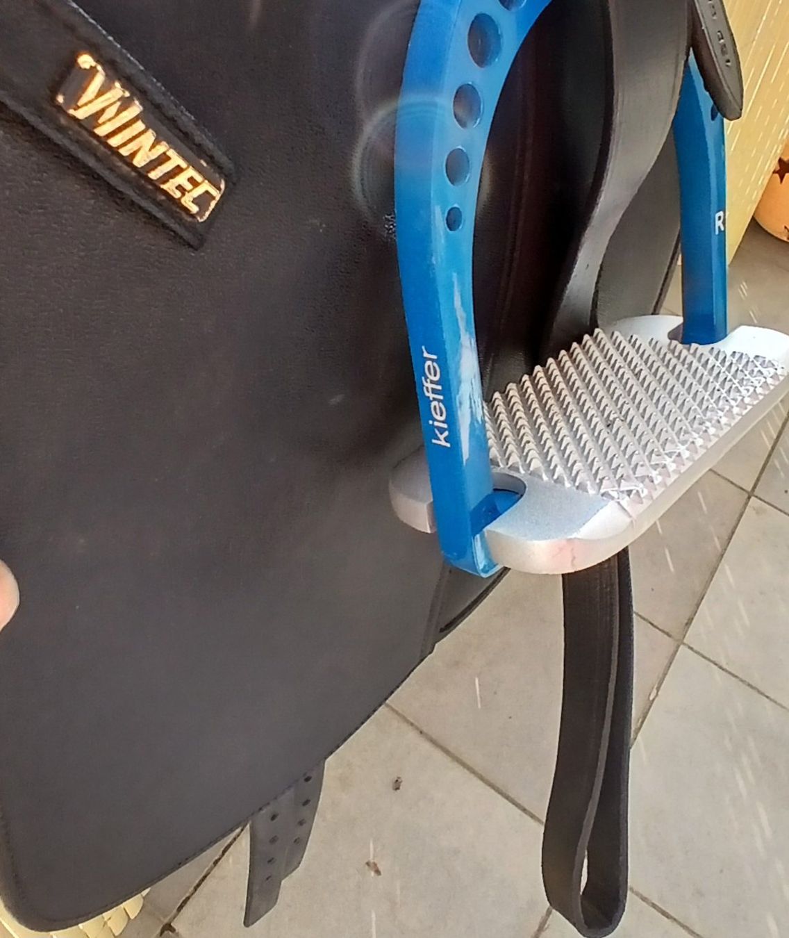 Selle & Accessori: Wintec-Dressursattel – Usato da Kerzers venduto da Lacky88 2