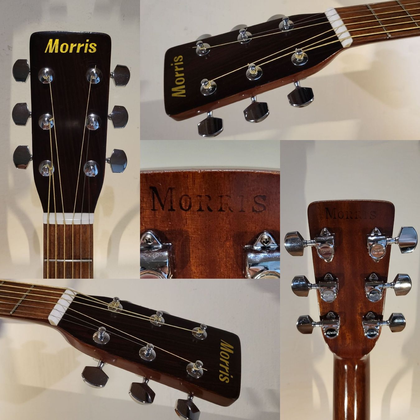 Strumenti musicali: Western Gitarre Morris WT-19 – Usato da Winterthur venduto da NorrSydGuitars 2