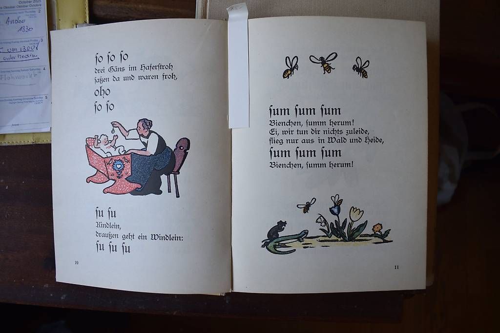 Libri: Der Bunte Vogel – Usato da Brügg BE venduto da Aristotolius 1