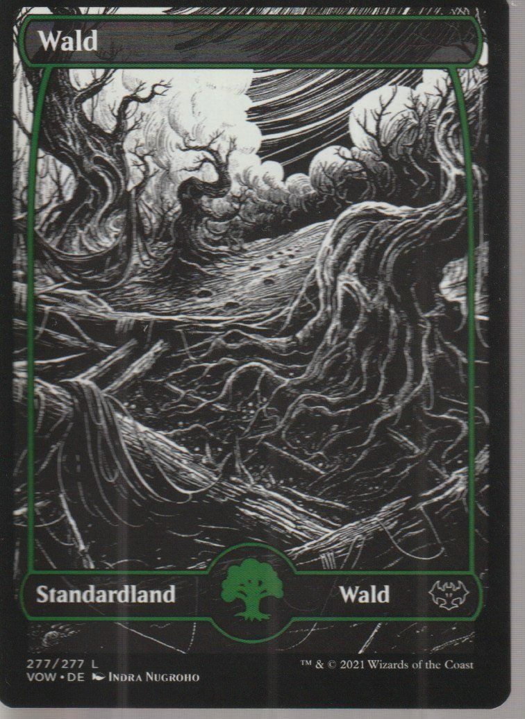 Magic The Gathering Cartes à collectionner: TCG Magic The Gathering MTG De VOW 277 BASIC LAND Wald – Neuf (Voir description) à Vezia par Aquarius_Age