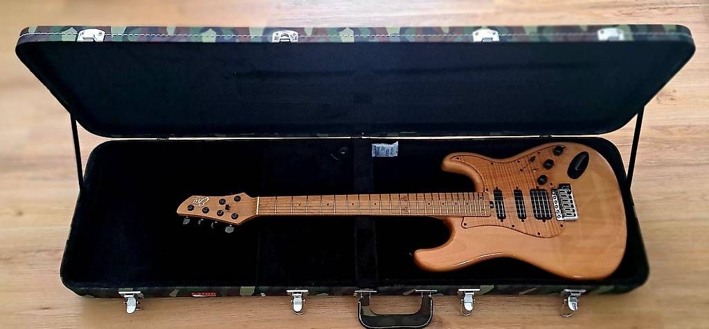 Strumenti musicali: Gator e-guitar / e-bass Hard Case – Nuovo (secondo la descrizione) da Unterseen venduto da P4R 2