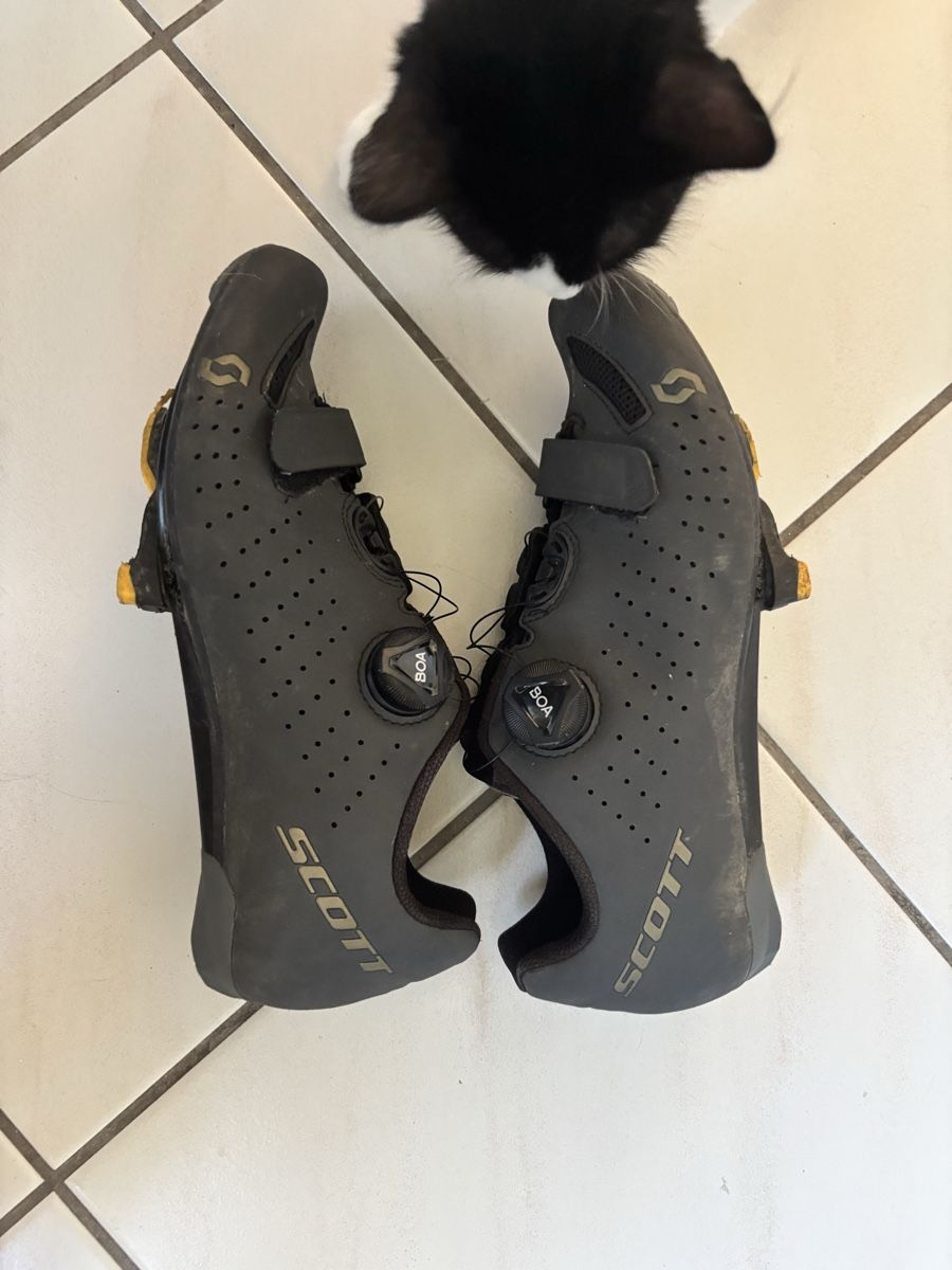 Scott Biciclette: Scott Rennradschuhe Compact  – Usato da Dietlikon venduto da sdarli2003 2