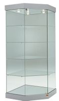 Glasvitrine Ecke, ESG Glas, Silber (B.73 x T.73 x H.188cm)