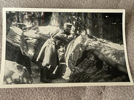 Fotodruck 6x9cm Durchbruchsschlacht bei Tarnov-Gorlice