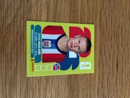 Panini Sticker Erling Haaland NOR 15 United Edition