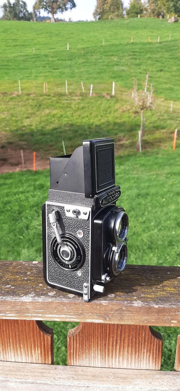 Minolta Fotocamera: Minolta Autocord – Usato da kriens venduto da willistuder 5