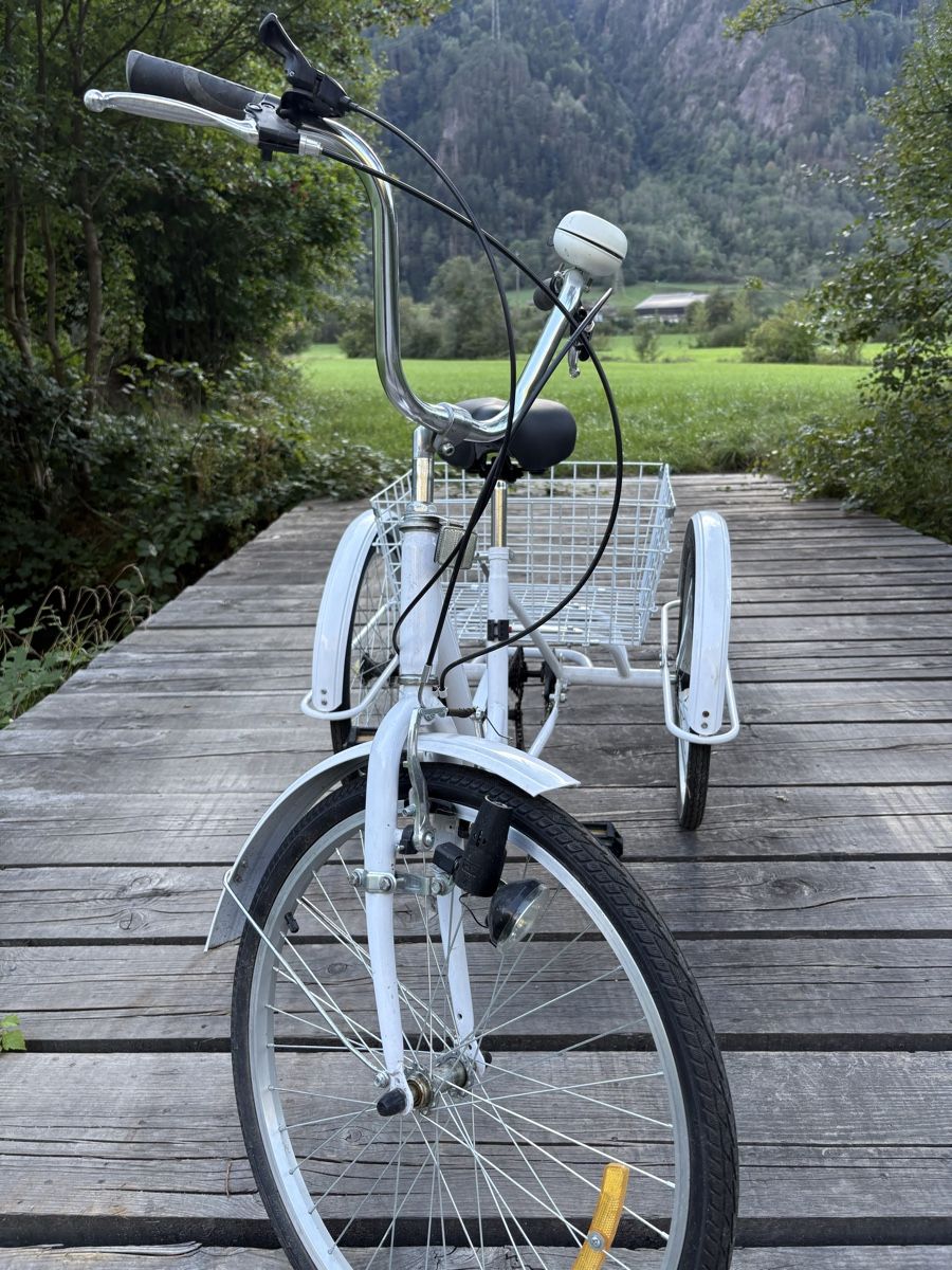 Biciclette: Schönes Dreiradvelo – Usato da Silenen venduto da Bryna 1