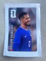 Panini Cola William Saliba