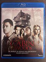 The Cabin in the Woods