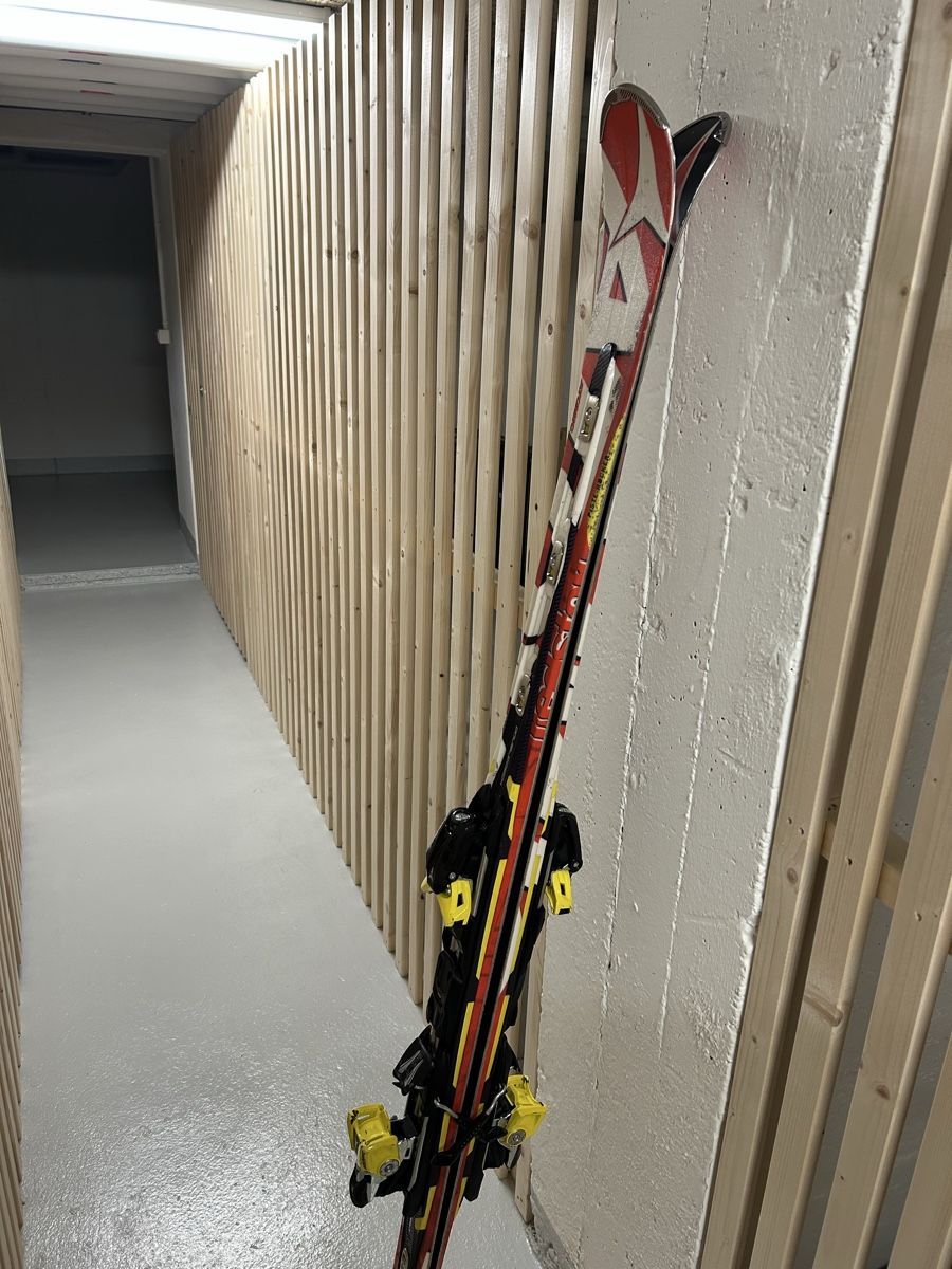 Atomic Skis: Atomic Redster GS174 – Gebraucht aus Zürich von d.kof