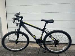 Velo Leopard Star Cat