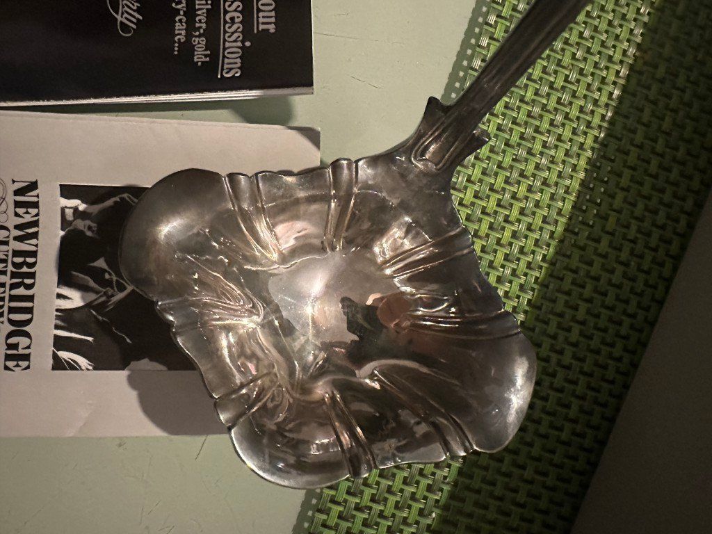 Cucchiai: Newbridge Silverware Schöpflöffel Silberlöffel versilbert – Nuovo (secondo la descrizione) da Brunnen venduto da 23068 2