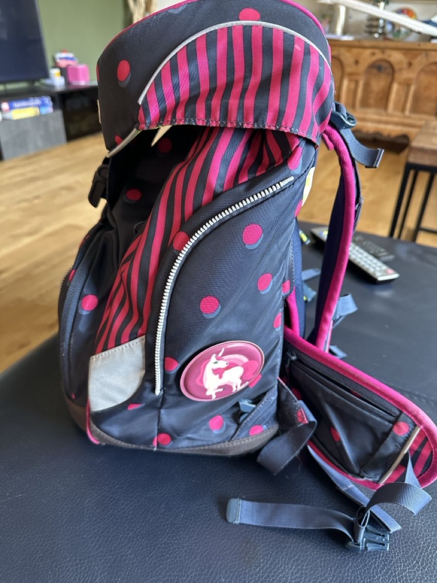 Ergobag Borse & Zaini: Schulrucksack Ergobag gebraucht – Usato da Bülach venduto da eugig5 2