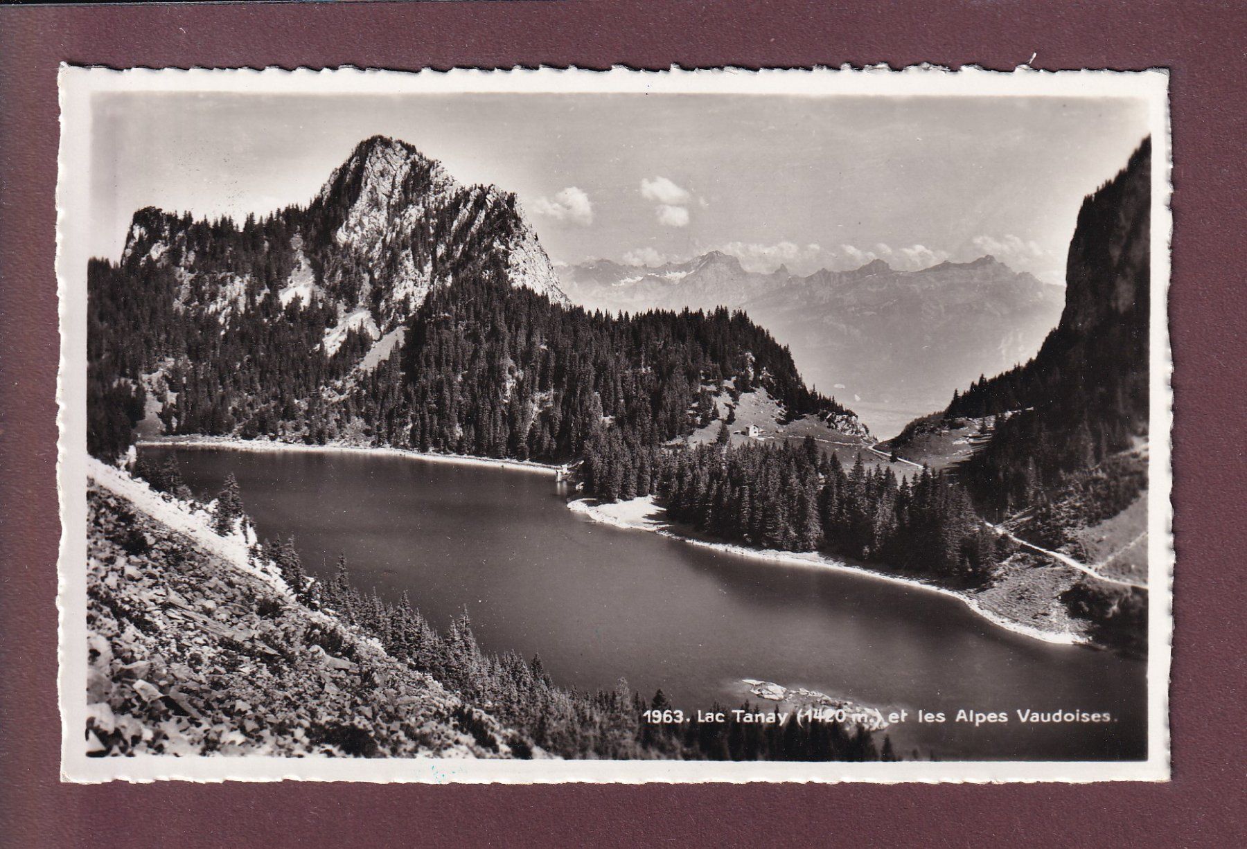 Cartoline postali: LAC TANAY - Alpes vaudoises – Usato da Pully venduto da nicecards