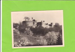 Schlossruine Dorneck, Dornach