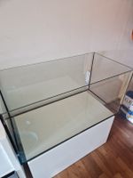 Terrarium Glas mit Gitterabdeckung 100x50x50