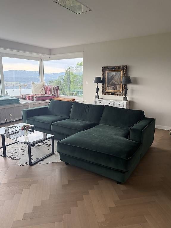 Divani: Designer Sofa grün – Usato da Gränichen venduto da san_9957