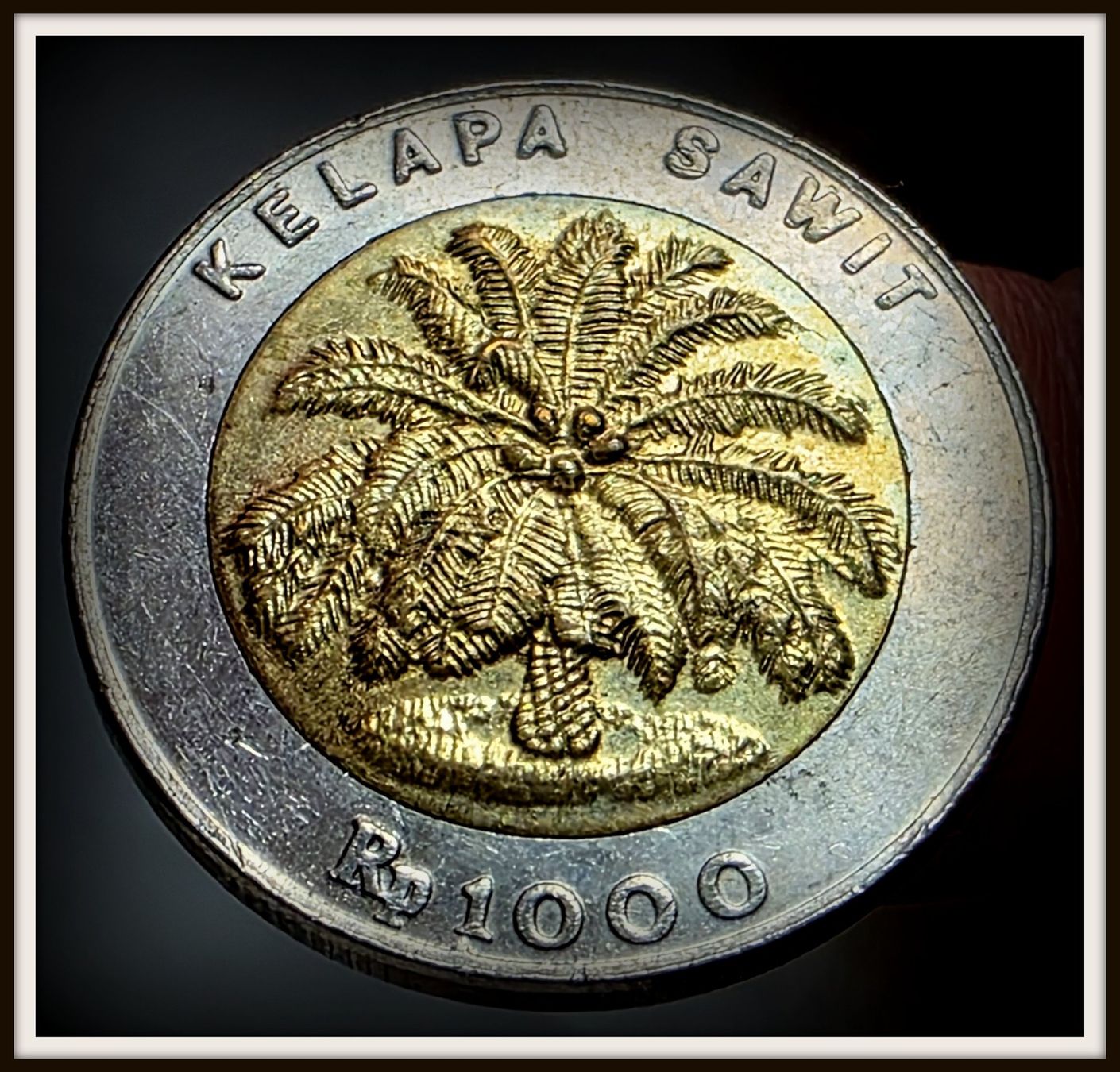 Tutti le monete: INDONESIEN 1000 RUPIAH 1996 – Usato da winterthur venduto da CoinPassion