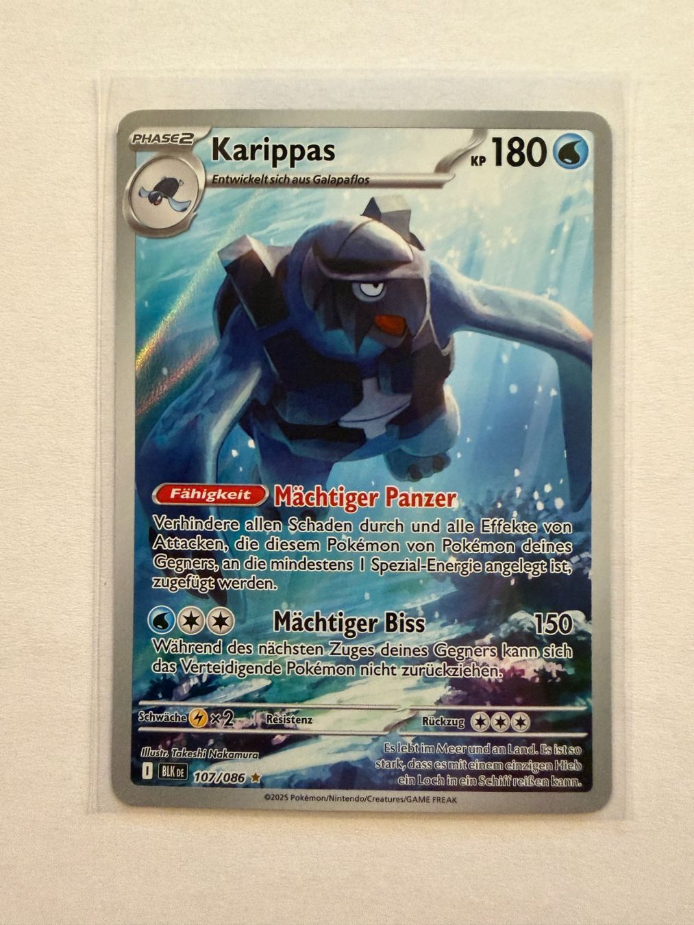 Pokémon Carte collezionabili: Pokemon Karippas 107/086 Schwarze Blitze DE – Nuovo (secondo la descrizione) da Weingarten-Kalthäusern venduto da McGmavlo