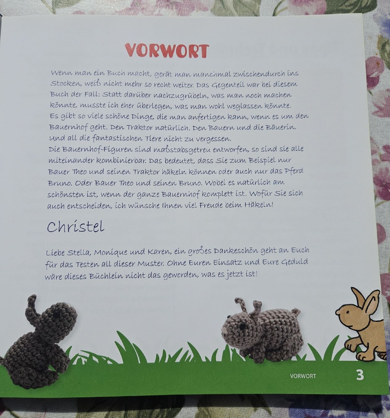 Libri: Häkelbuch "Meine kleine Kuschelfarm" – Usato da Ebikon venduto da SecondChance_byM 5