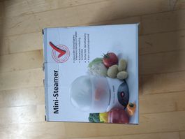 Mini-Tisch-Steamer