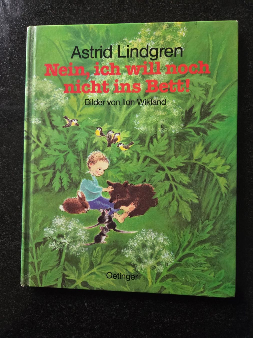 Libri: Nein, ich will noch nicht ins Bett – Usato da Münsingen venduto da Sokilein