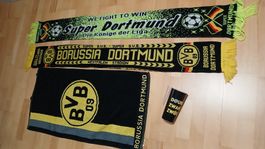 BVB Schal,Frotetuch&Becher