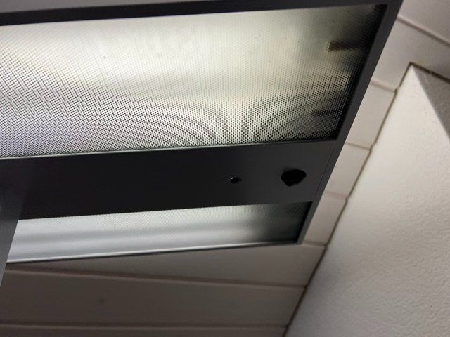 Zumtobel Lampade: Stehleuchte Zumtobel Staff – Usato da Brütten venduto da mcstern 6