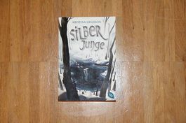 Silberjunge (Jugenbuch) 2. Band der Glaskinder-Reihe