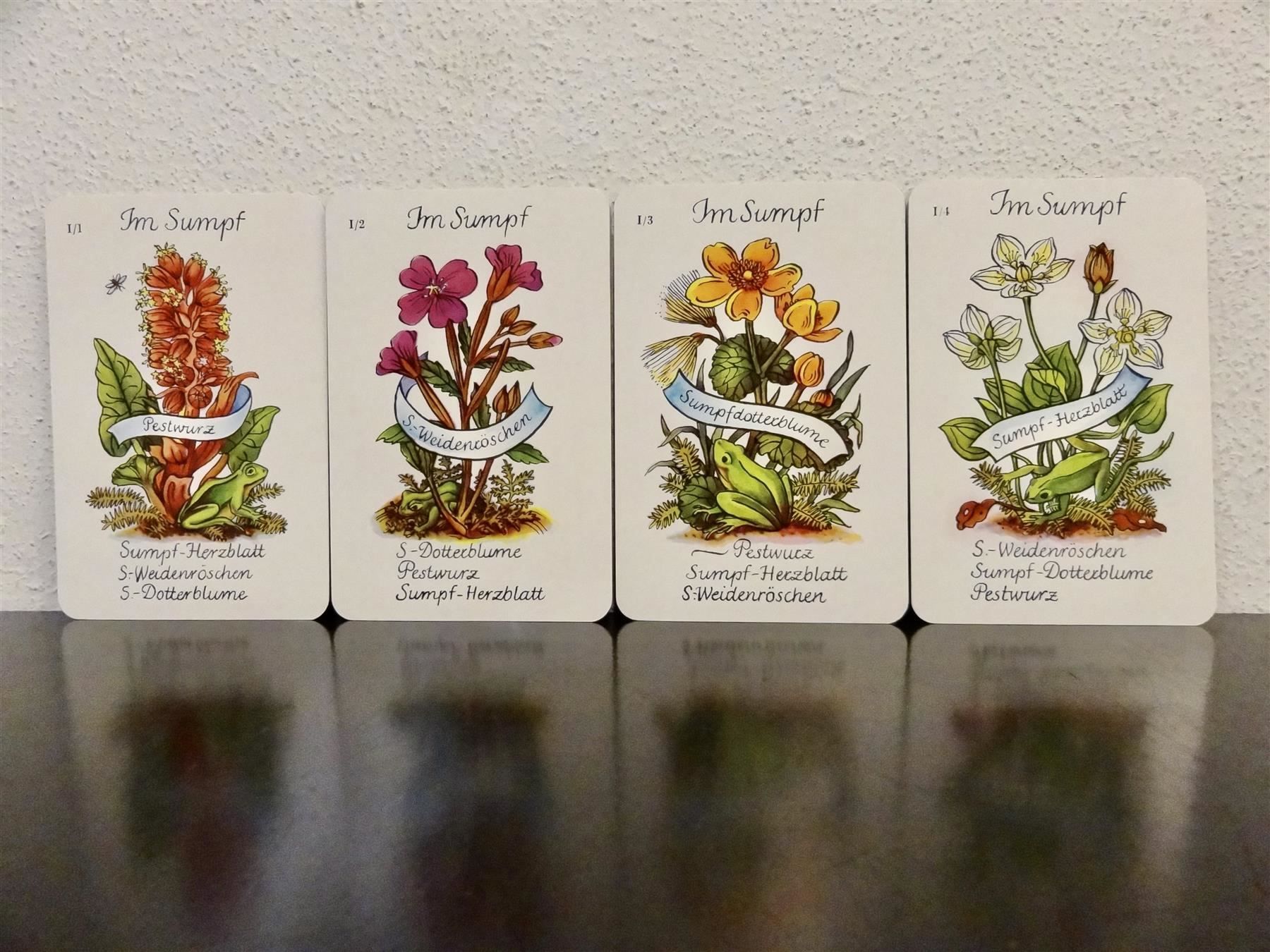 Giochi: altes Quartett BLUMEN-QUARTETT BLUMEN – Usato da Kerzers venduto da wisaundso 3