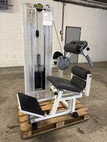 Technogym Lower Back – Profi Rückenstrecker (Reha-Edition)