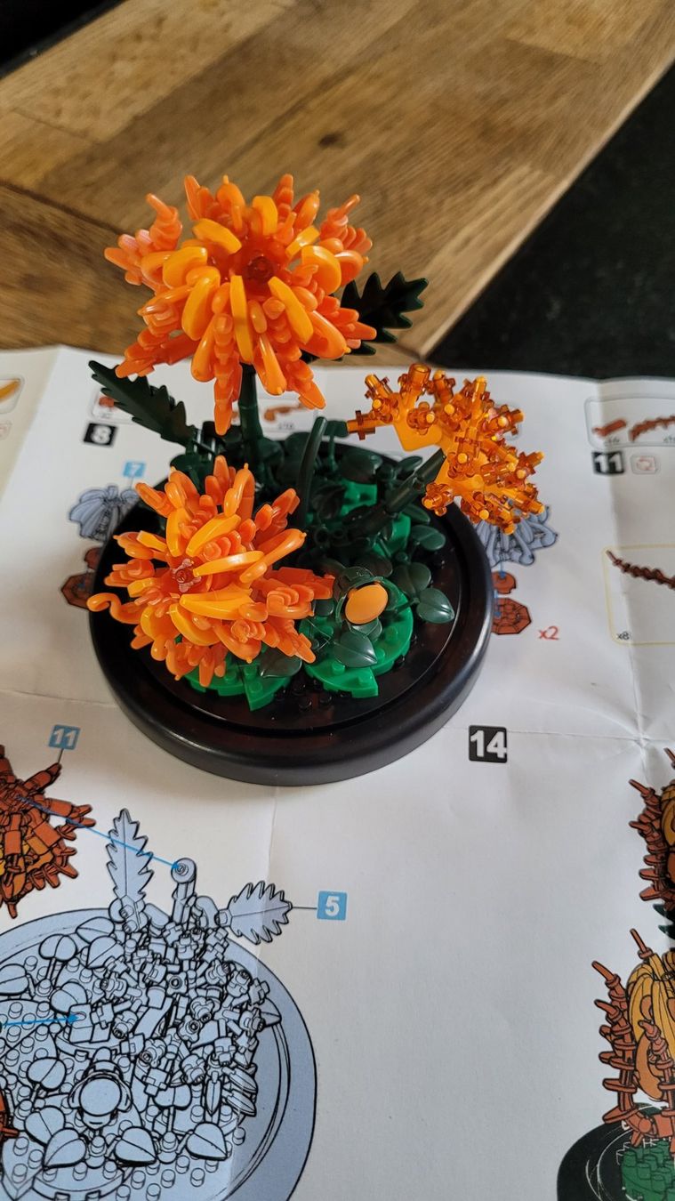 Kit di costruzioni: Jolies fleurs a monter – Nuovo e nell'imballaggio originale da Saxon venduto da Sebdem 3
