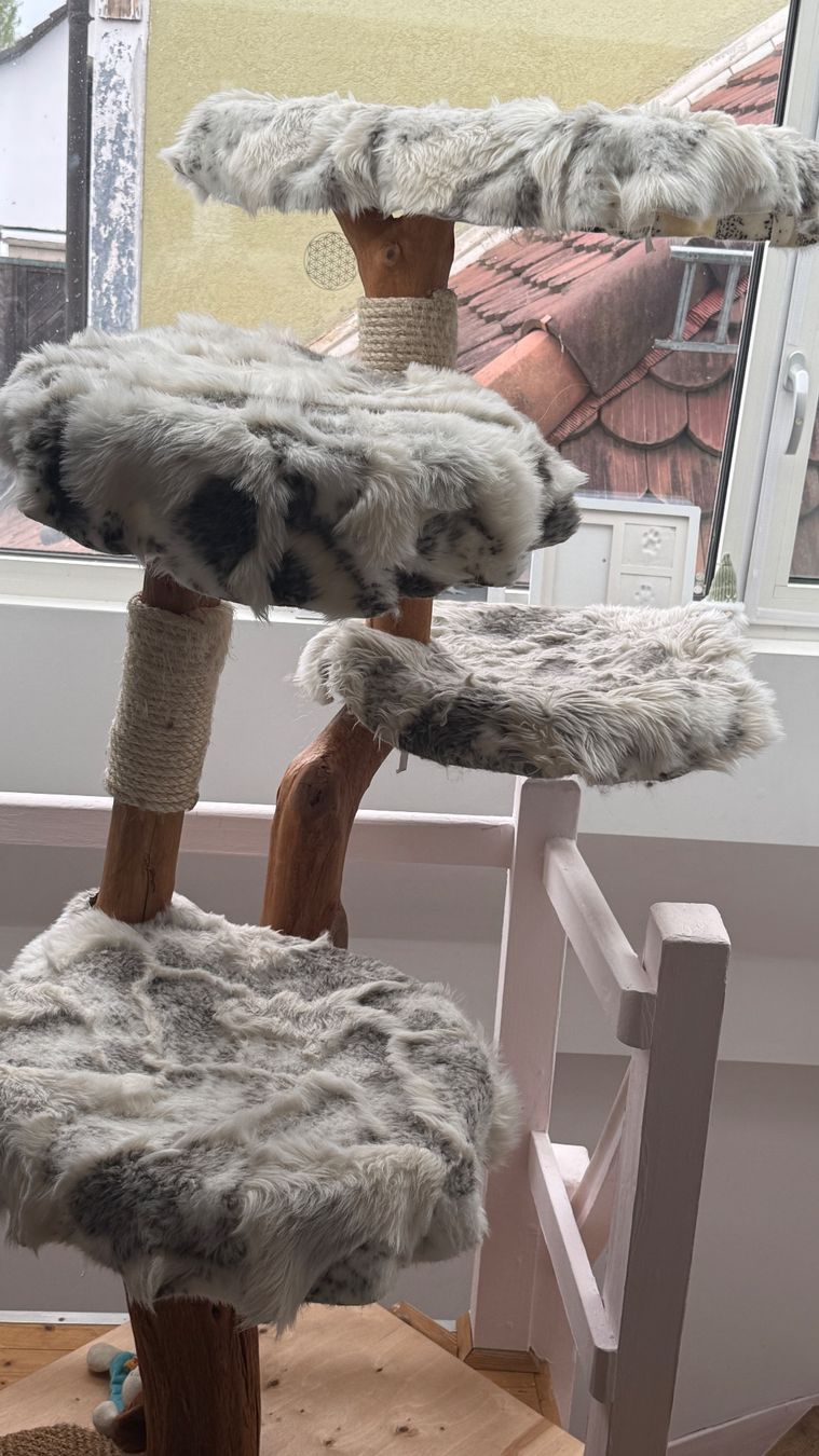 Tiragraffi: Pet Couture Kratzbaum mit 5 Liegeflächen – Usato da Birsfelden venduto da sup_h5x6 1