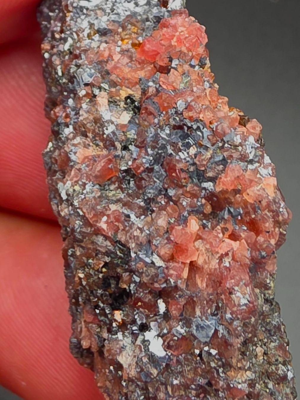 Mineralien & Heilsteine: RaRe Rhodonite Broken Hill Australia – Gebraucht aus Figino von minshop 2