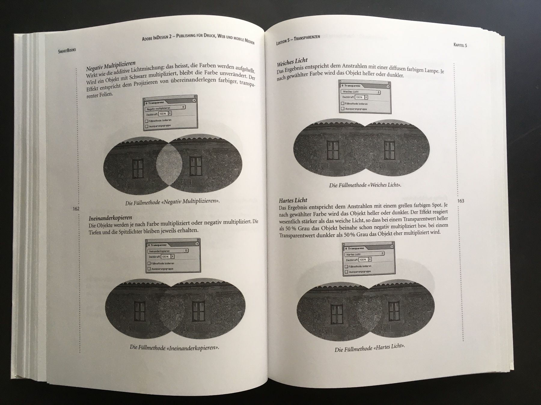 Libri: Buch: M. Eckert – Das Profibuch zu Adobe InDesign 2 (2003) – Usato da Basel venduto da loukash 4