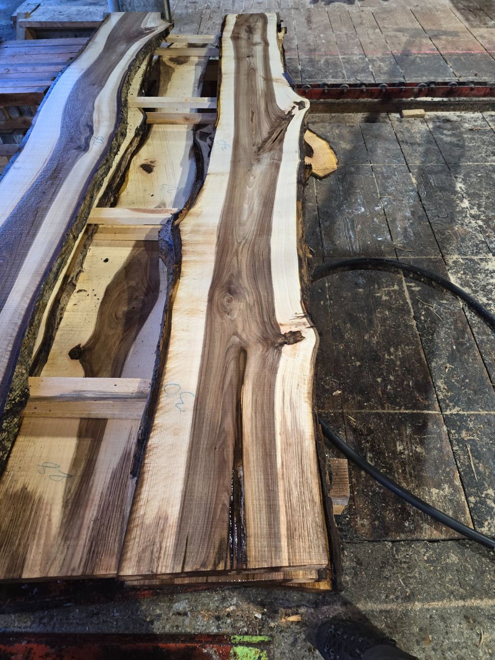 Articoli in legno: Nussbaumbrett Nr. N94 – Nuovo (secondo la descrizione) da Ramsei venduto da Waelchris 1