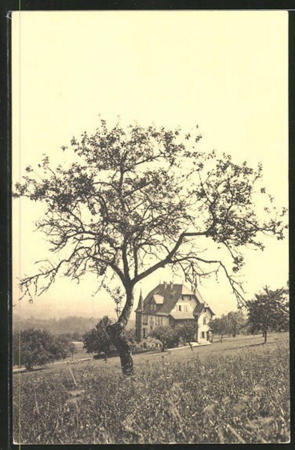 Cartoline postali: Schönenberg bei Pratteln, um 1920-30 – Usato da Frauenfeld venduto da POML