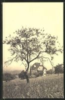 Schönenberg bei Pratteln, um 1920-30