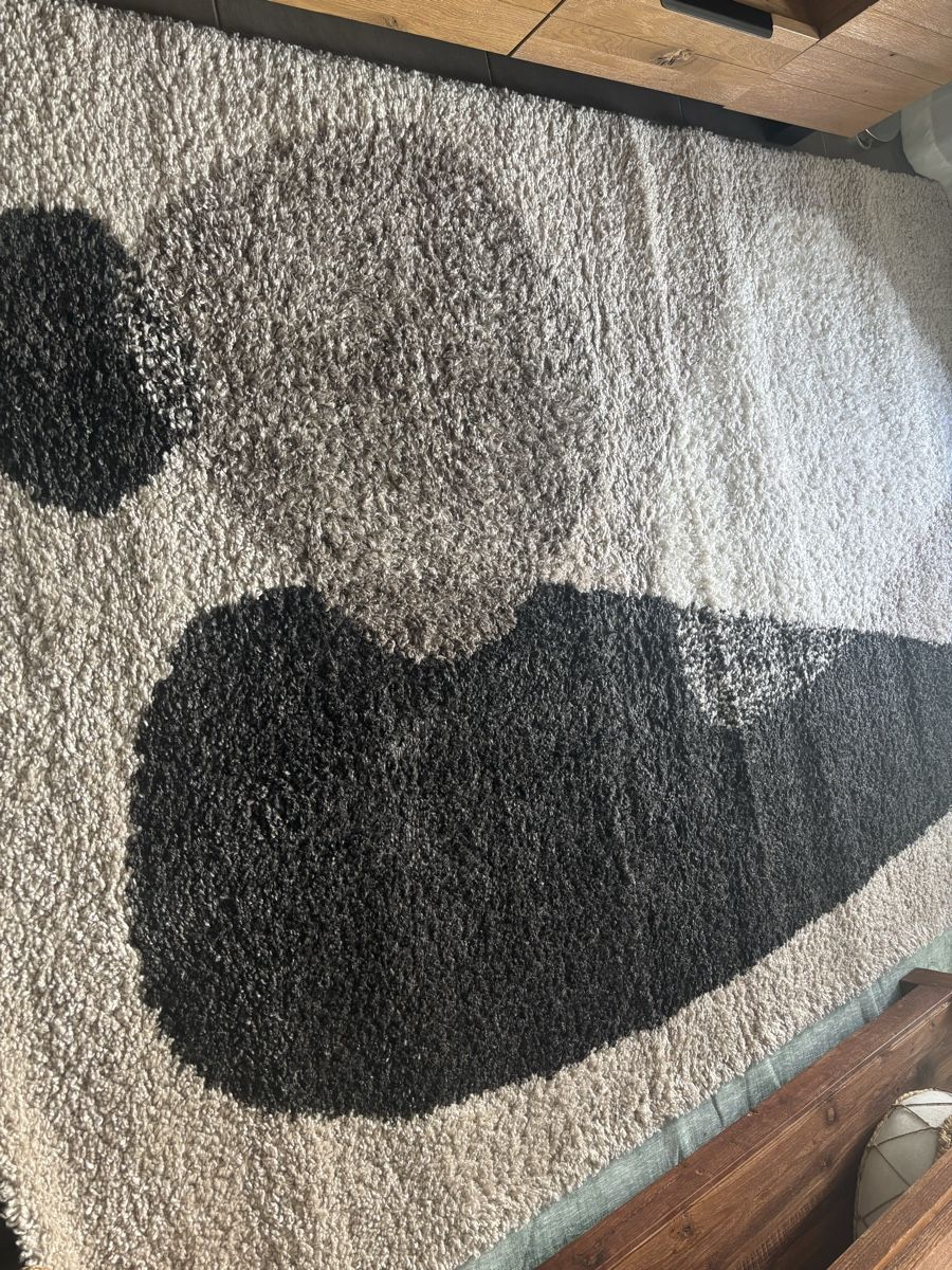 Tappeti: Teppich 160 x230 – Usato da Zug venduto da Biki72 3