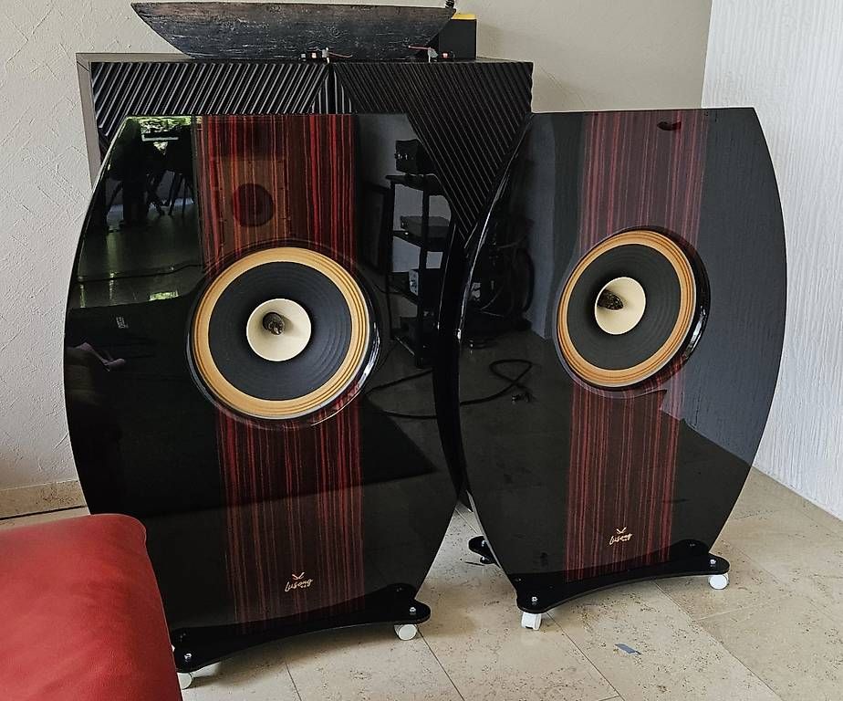 Casse acustiche: Lii Audio High-End Open Baffle Lautsprecher – Usato da Ossingen venduto da ruwifu