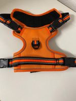 Orange Hundeggeschirr, Grösse S, Top Zustand für kleine H...