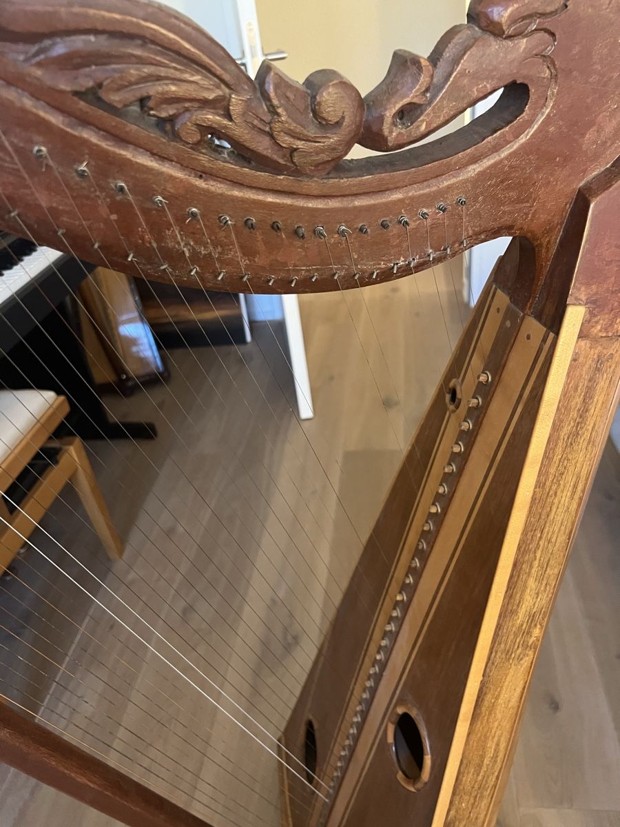 Strumenti musicali: Harfe Peru – Usato da Wettswil venduto da andybambus 1