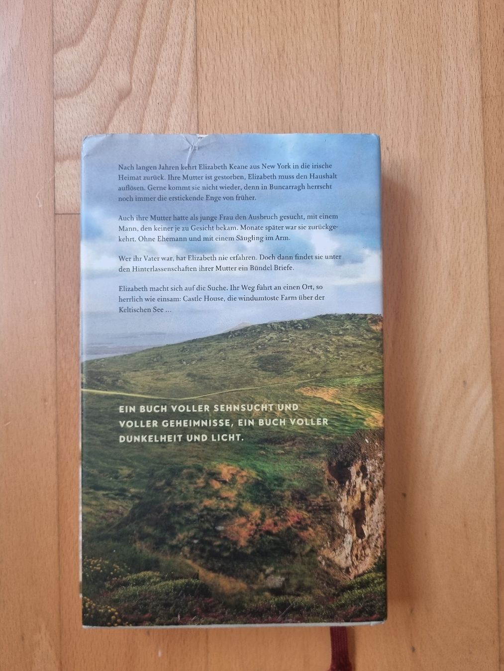 Livres: Buch "Eine irische Familiengeschichte" – D'occasion à Oberrüti par zwierbel7 1
