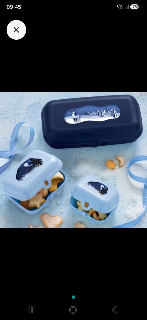 Tupperware Contenitori & Simili: Drillinge Set/Tupperware – Nuovo e nell'imballaggio originale da Hasle b. Burgdorf venduto da buddle32 2