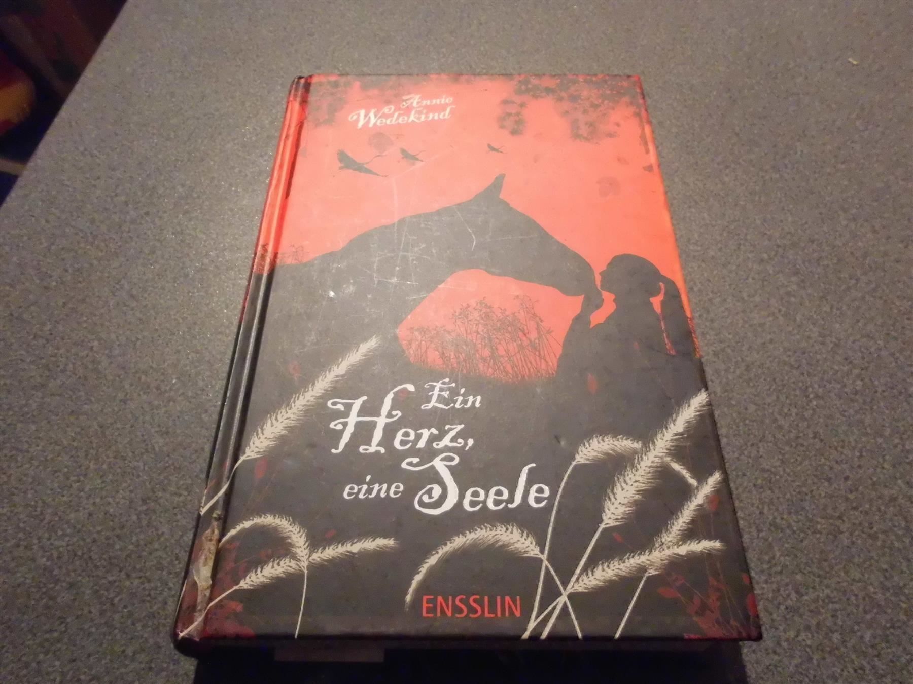 Libri: Ein Herz, eine Seele, Annie Wedekind – Usato da Zürich venduto da Motzkuh