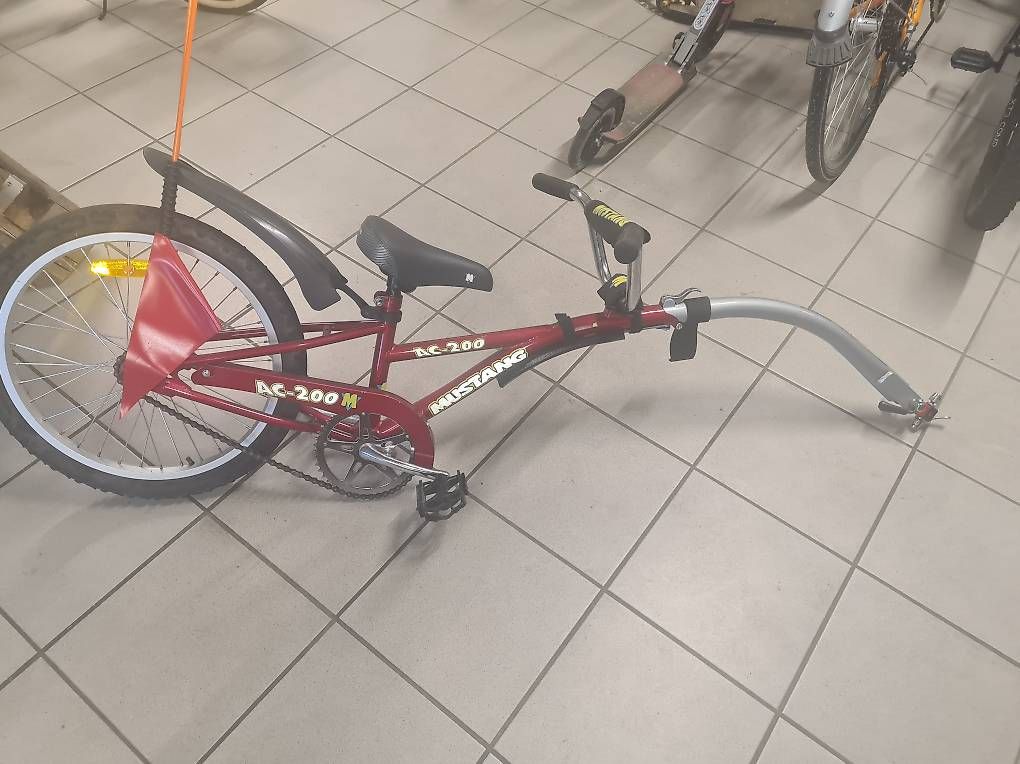 Biciclette: Schleppvelo – Usato da Winterthur venduto da gio_fq7f