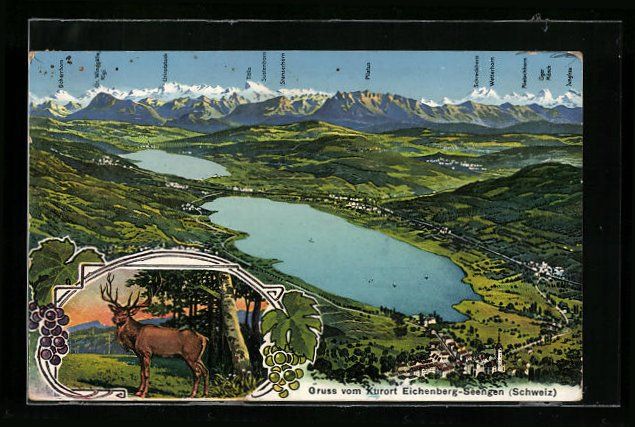 Cartoline postali: Seengen, Ortsansicht vom Hotel Eichenber – Usato da Berlin venduto da bartko-reher